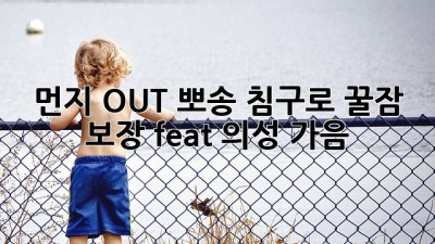 🛌 먼지 OUT! 뽀송 침구로 꿀잠 보장😴 (feat. 의성 가음)