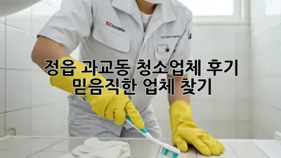 정읍 과교동 청소업체 후기: 믿음직한 업체 찾기