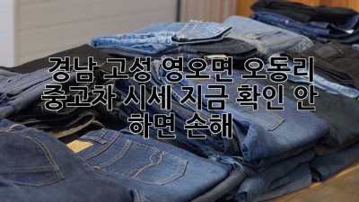 경남 고성 영오면 오동리 중고차 시세, 지금 확인 안 하면 손해! 💸