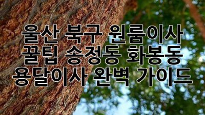 울산 북구 원룸이사 꿀팁🍯 송정동 화봉동 용달이사 완벽 가이드